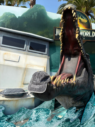 Universal Studio Tips
