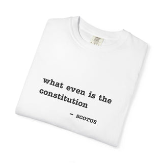 What even is the constitution Tee