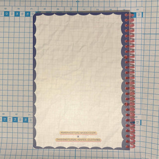 Funny Case Brief Notebooks - *This is not legal advice