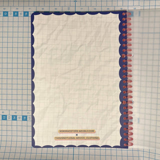 Funny Case Brief Notebooks - *This is not legal advice