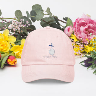 I Stole This Pastel baseball hat - *This is not legal advice