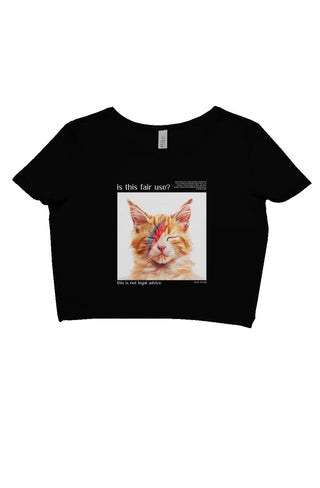 Is this fair use album cover crop tee - *This is not legal advice