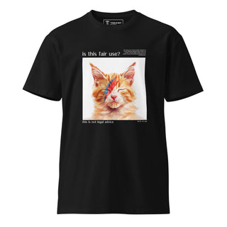 Is This Fair Use Album Cover Unisex premium t-shirt - *This is not legal advice