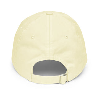 It's Not a Bribe, It's a Reward Pastel baseball hat - *This is not legal advice