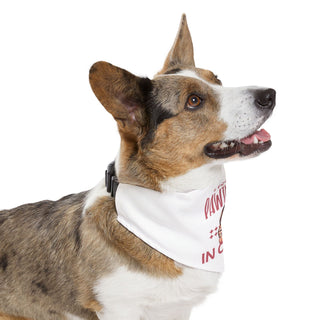 "Pawtners in Crime" Pet Bandana Collar - *This is not legal advice