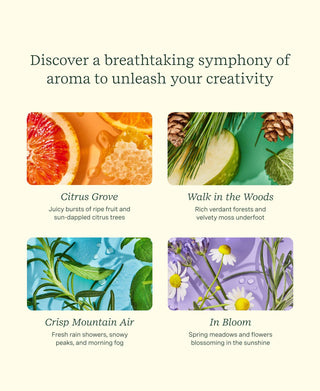 Pen Diffuser Set - 4 - pack with Assorted Essential - *This is not legal advice