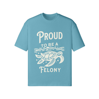 Proud to be a Felony