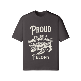 Proud to be a Felony