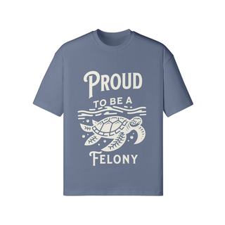 Proud to be a Felony