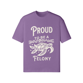 Proud to be a Felony