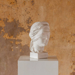 Themis Bust - *This is not legal advice