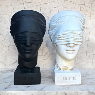 Themis Bust - *This is not legal advice