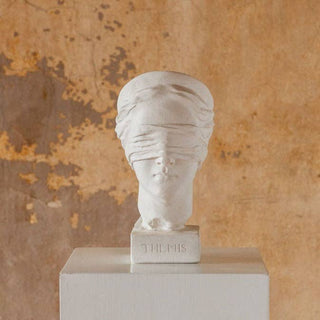 Themis Bust - *This is not legal advice