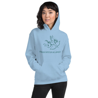 This is not legal advice Unisex Hoodie - *This is not legal advice