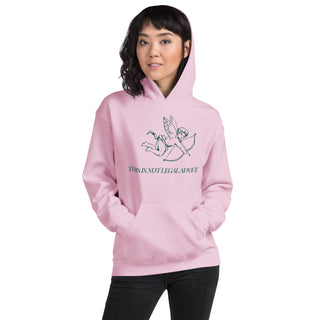 This is not legal advice Unisex Hoodie