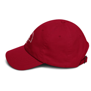 US Racketeering Club Dad hat - *This is not legal advice