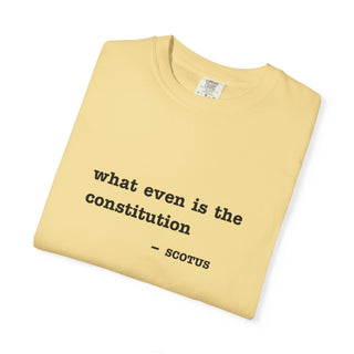 What even is the constitution Tee - *This is not legal advice