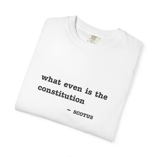 What even is the constitution Tee - *This is not legal advice