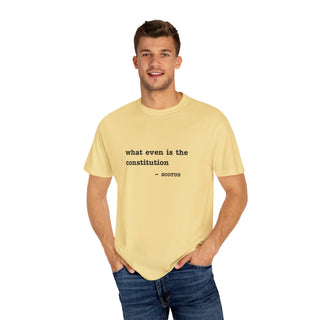 What even is the constitution Tee - *This is not legal advice