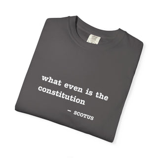 What even is the constitution Tee - *This is not legal advice
